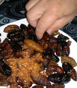A plate of assorted bugs at Simao Yecai Guan.