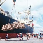 Thailandriceexport-1